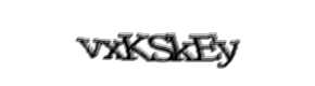 Security check image, please type the characters shown